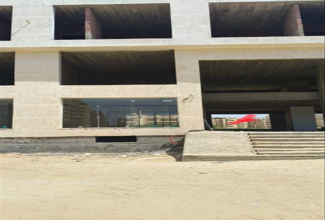 7981882 - Property Image 3