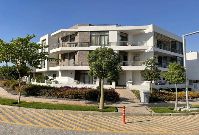 7976886 - صورة العقار 3