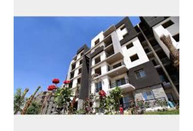 7976412 - صورة العقار 3