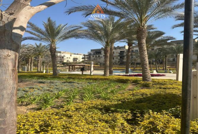 7976481 - صورة العقار 2