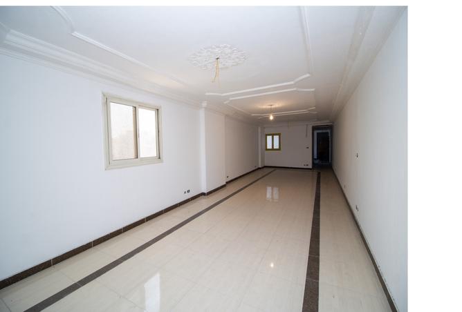 7976987 - صورة العقار 3