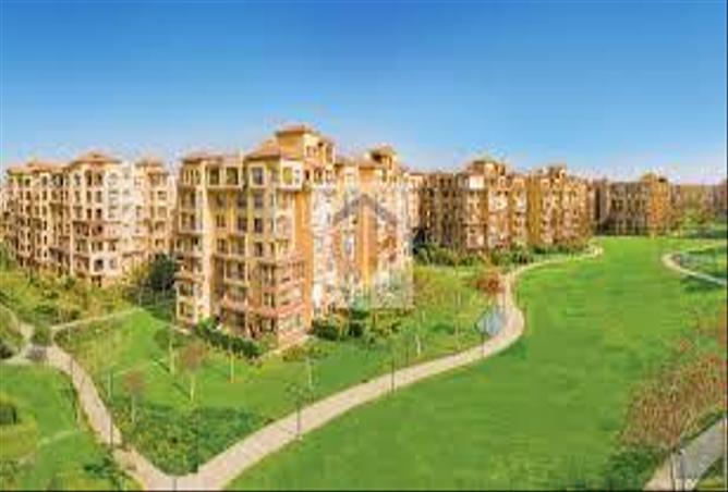 65150672 - Property Image 2