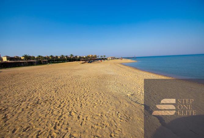 7978182 - صورة العقار 2