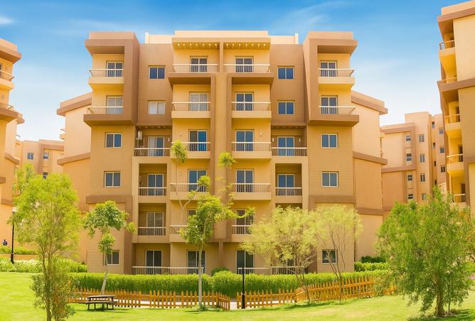 7985052 - الصورة الرئيسية للعقار