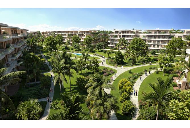 7978731 - صورة العقار 3