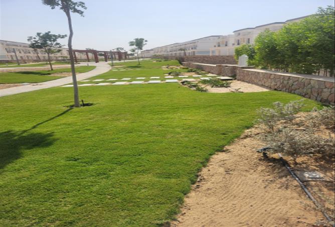 7978800 - الصورة الرئيسية للعقار