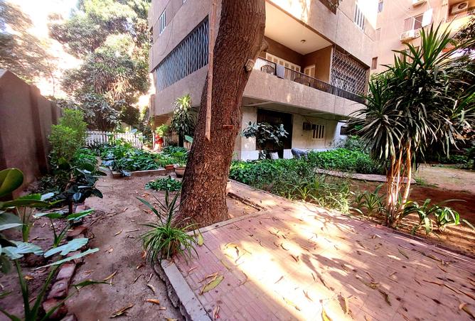 7979460 - صورة العقار 3