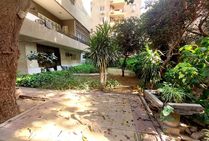 7979460 - الصورة الرئيسية للعقار