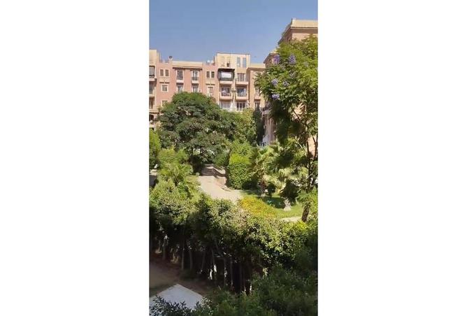 7983923 - الصورة الرئيسية للعقار