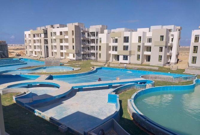 7979715 - Property Image 3