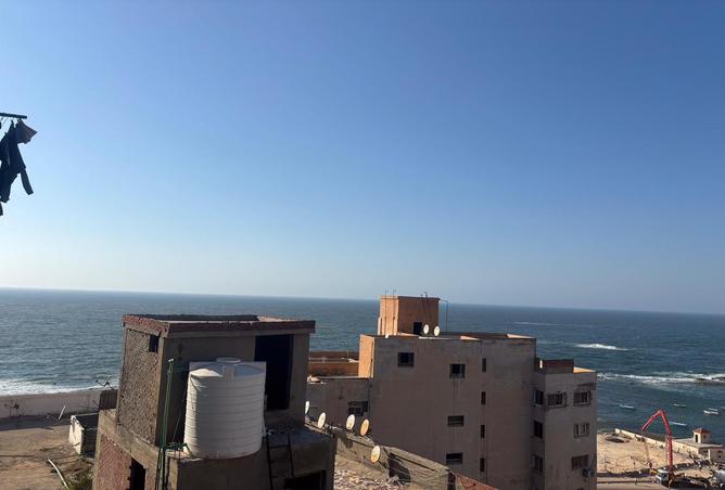 7980214 - صورة العقار 2