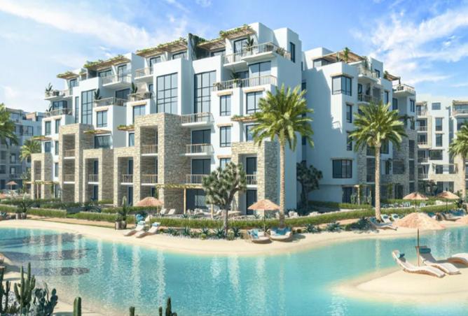 7980183 - Property Image 3