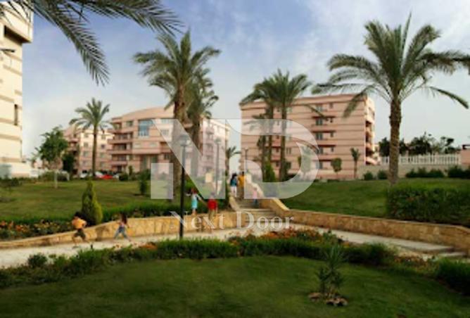 7980620 - الصورة الرئيسية للعقار