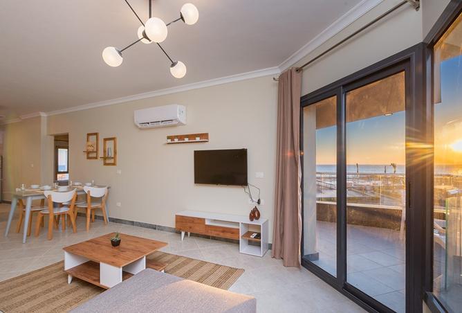 7980801 - Property Image 3