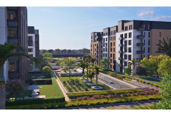 7981774 - صورة العقار 3