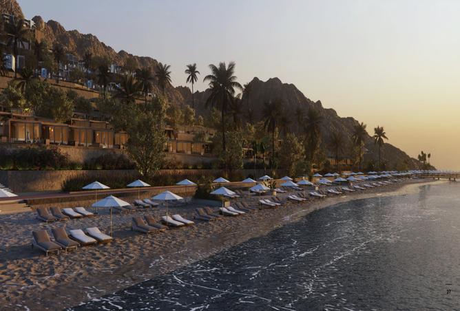 8318931 - Property Image 3