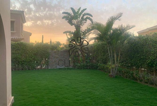 7981258 - صورة العقار 3