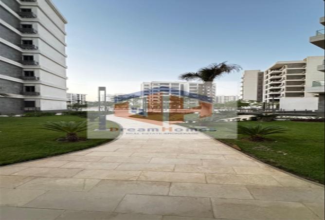 7981775 - صورة العقار 3