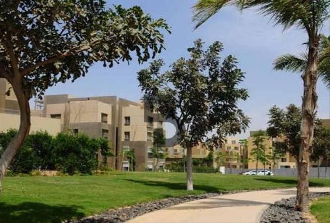 7981913 - الصورة الرئيسية للعقار