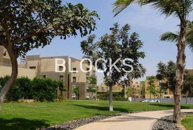 7981913 - الصورة الرئيسية للعقار