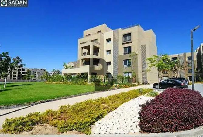 7981913 - صورة العقار 2