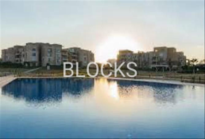 7981913 - صورة العقار 3