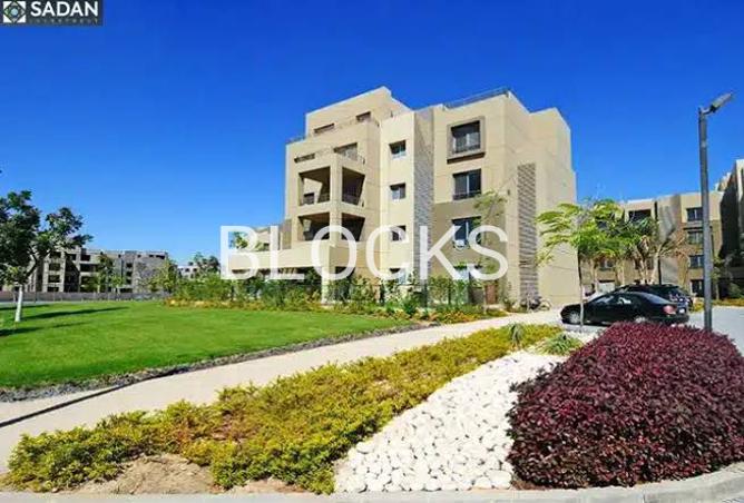 7981913 - صورة العقار 2