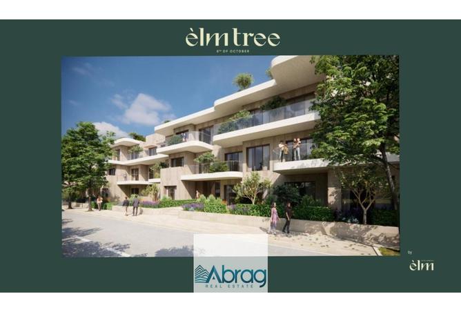 7981576 - Property Image 3