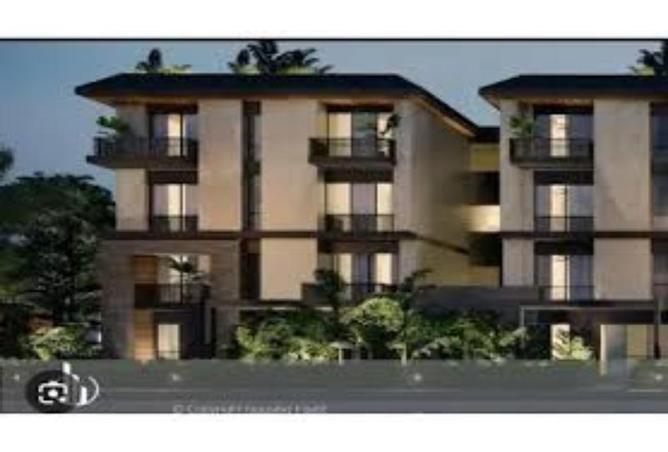 7981657 - Property Image 2