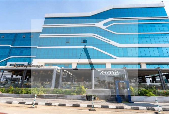 7981661 - صورة العقار 2