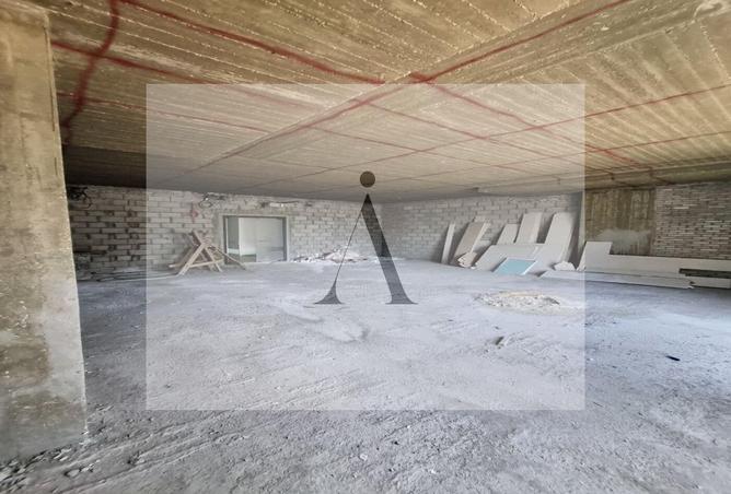 7981955 - صورة العقار 3