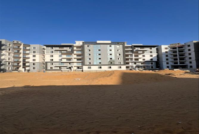 7981786 - صورة العقار 3