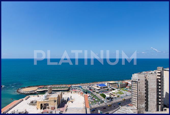 7982837 - صورة العقار 2