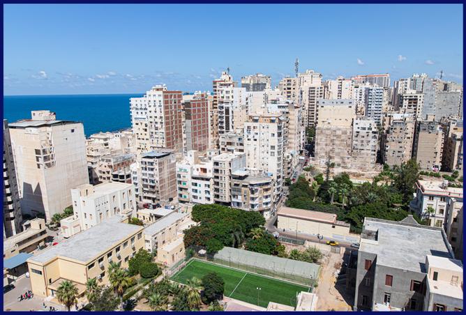 7982837 - صورة العقار 3