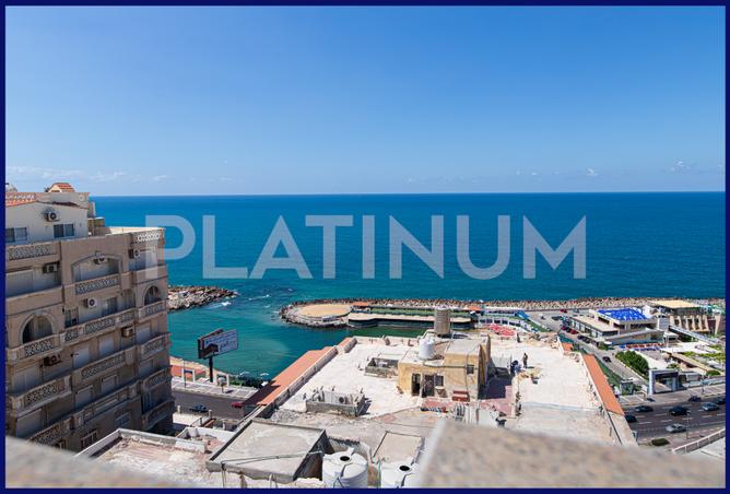 7982837 - الصورة الرئيسية للعقار