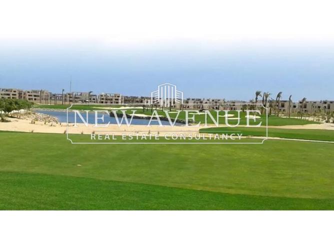 8324935 - Property Image 3