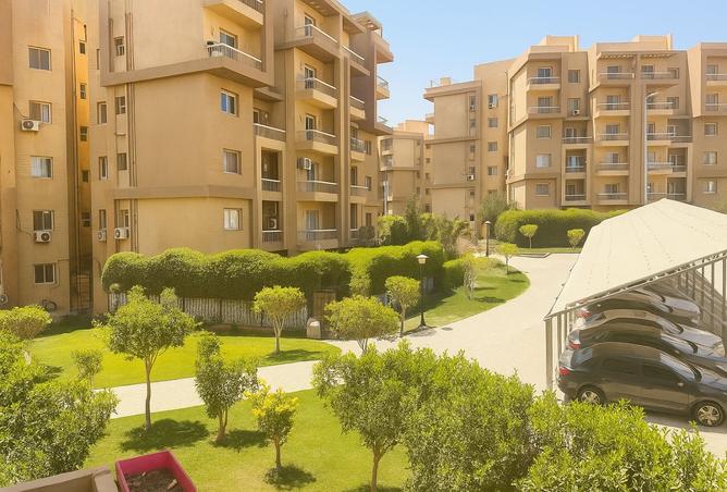 7983563 - الصورة الرئيسية للعقار