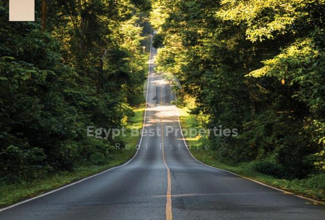 8502461 - صورة العقار 2