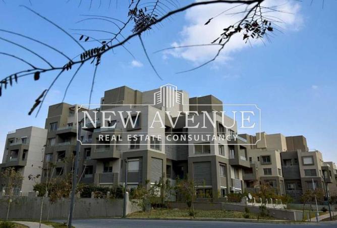 8264544 - صورة العقار 2