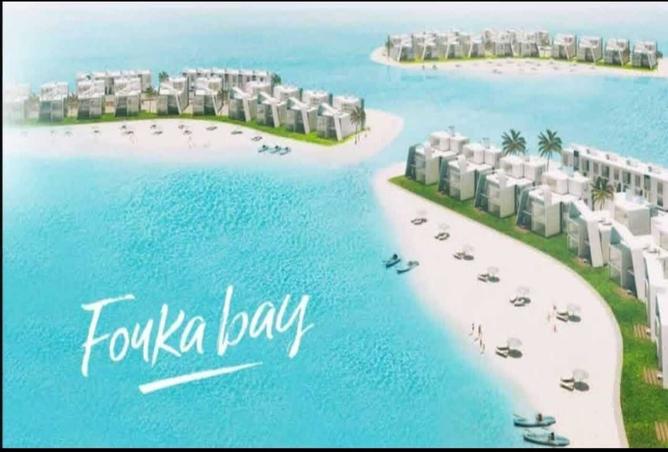 7984421 - صورة العقار 3