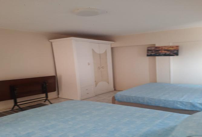 7985023 - صورة العقار 2