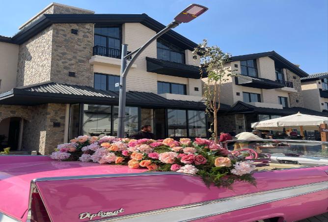 7985210 - صورة العقار 3