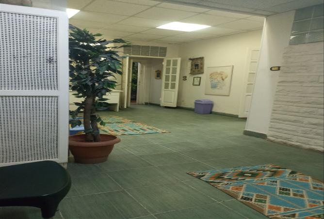 7985424 - صورة العقار 3