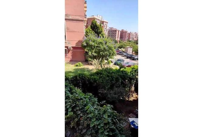 7986201 - صورة العقار 3