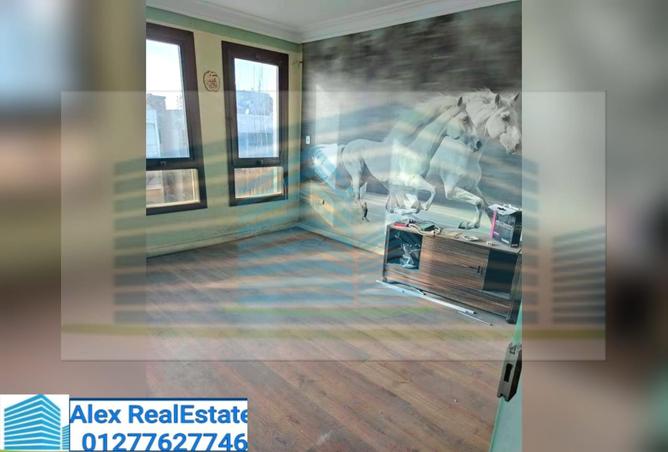 7986782 - الصورة الرئيسية للعقار