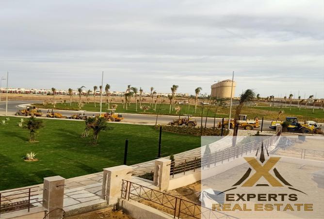 7999253 - صورة العقار 3