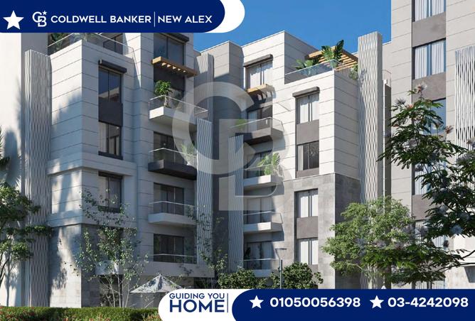 7987291 - صورة العقار 2