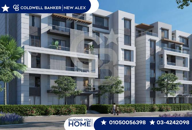 7987291 - صورة العقار 3