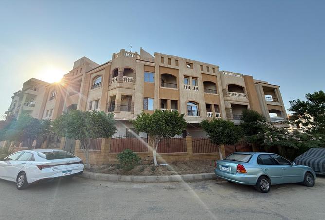 7987423 - Property Image 3