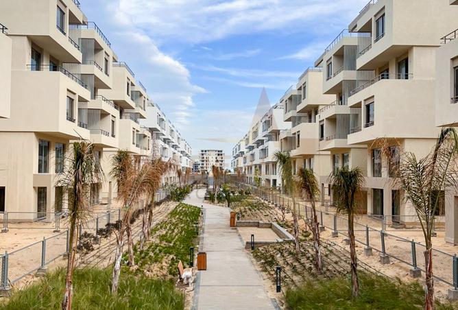 7987536 - صورة العقار 2